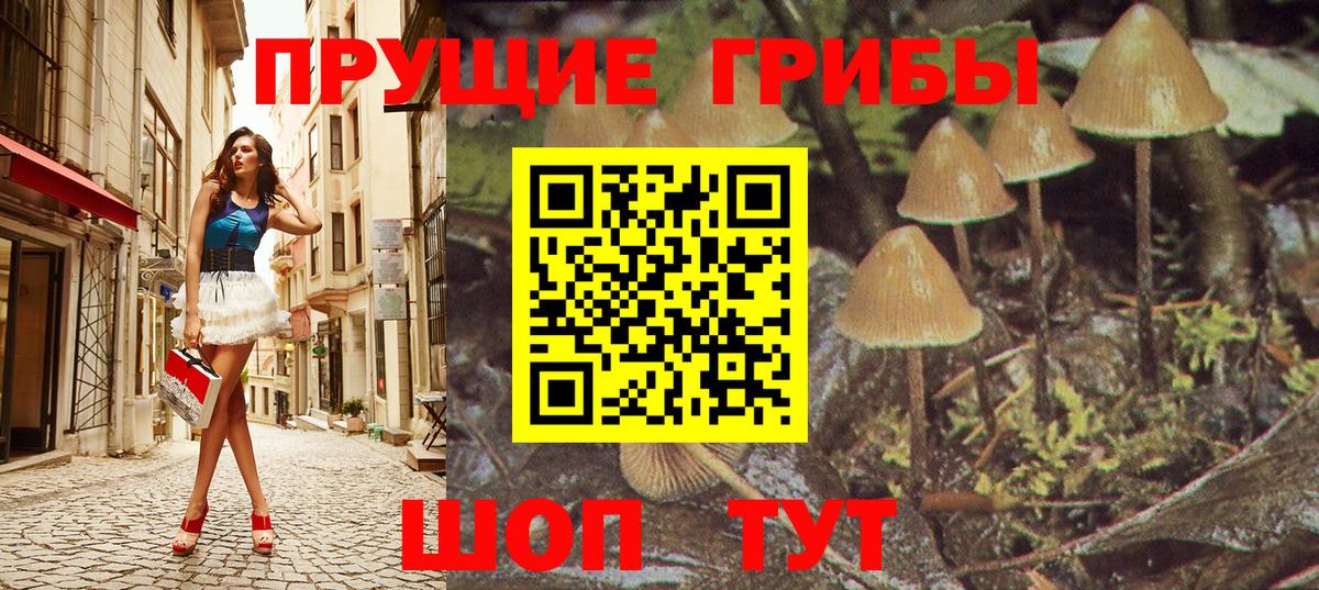 Донской  Галлюциногенные грибы MAGIC MUSHROOMS  цены   Вход с VPN 
