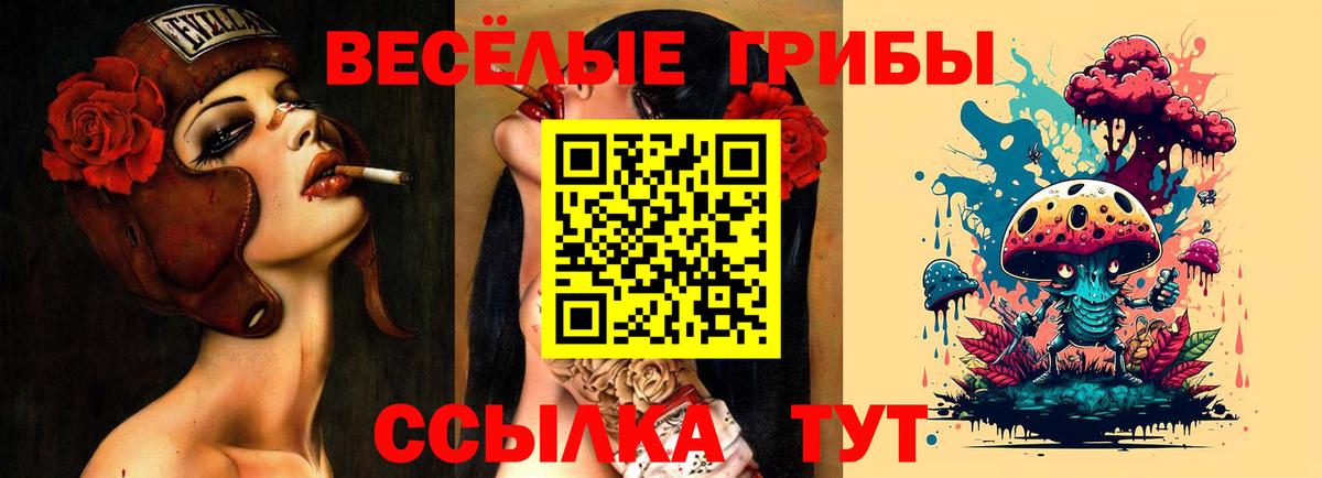 Псилоцибиновые грибы мухоморы Донской